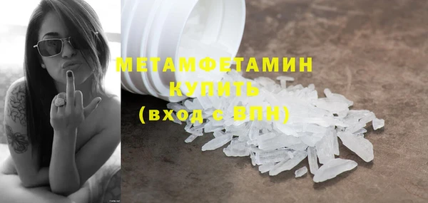шишки Горно-Алтайск