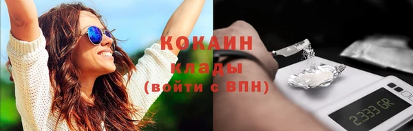 шишки Горно-Алтайск