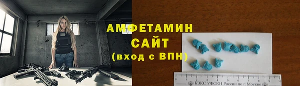 шишки Горно-Алтайск