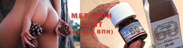 шишки Горно-Алтайск