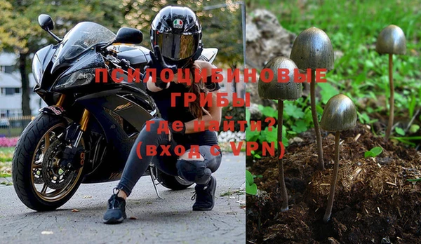 шишки Горно-Алтайск