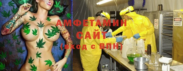 шишки Горно-Алтайск