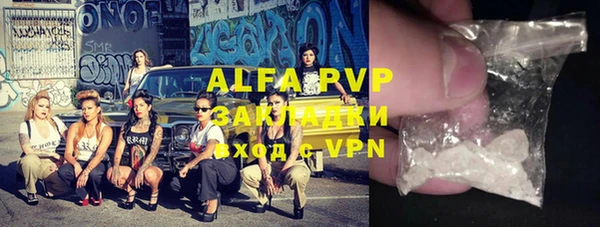 шишки Горно-Алтайск